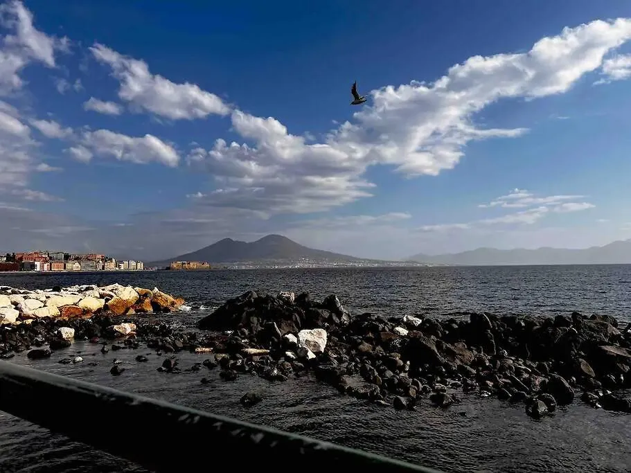 Apartment Intero Alloggio - Chiaia Naples